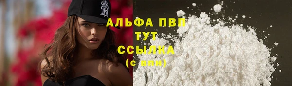 ешки Каменногорск