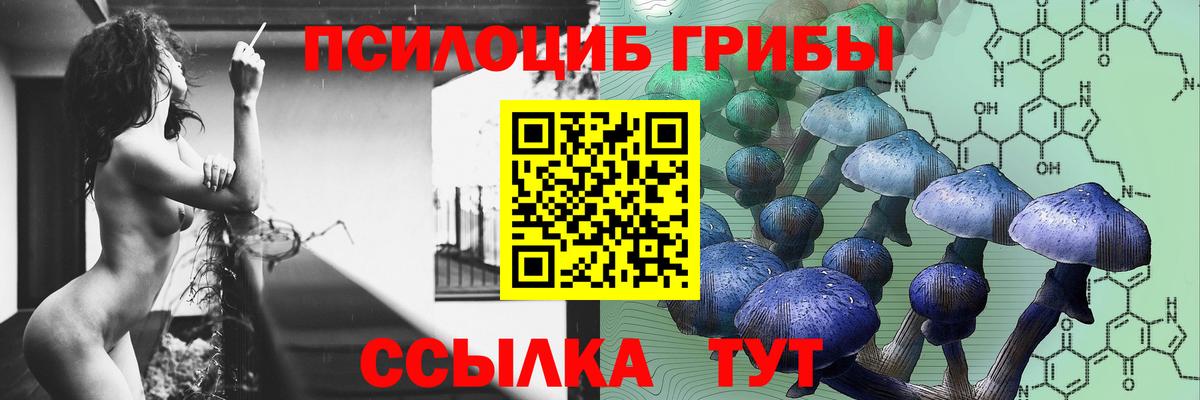Заинск  Галлюциногенные грибы Cubensis  Вход с VPN 